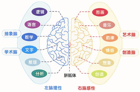 全脑思维