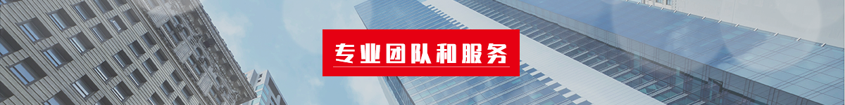 专业团队和服务